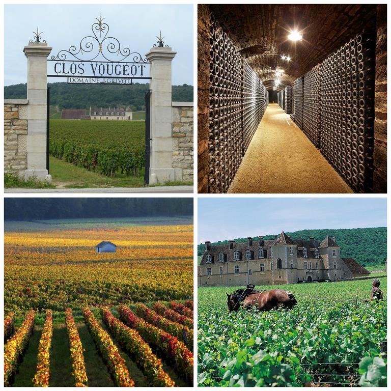Datcha Bourguignonne Beaune Beaune  Eksteriør billede